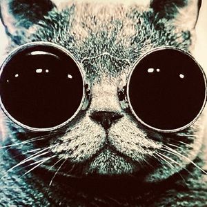 Meet your Posher, Kasey